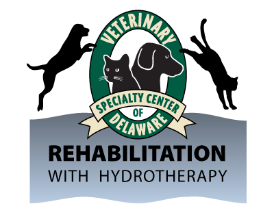 Young Adult Drug RehabYarnell AZ